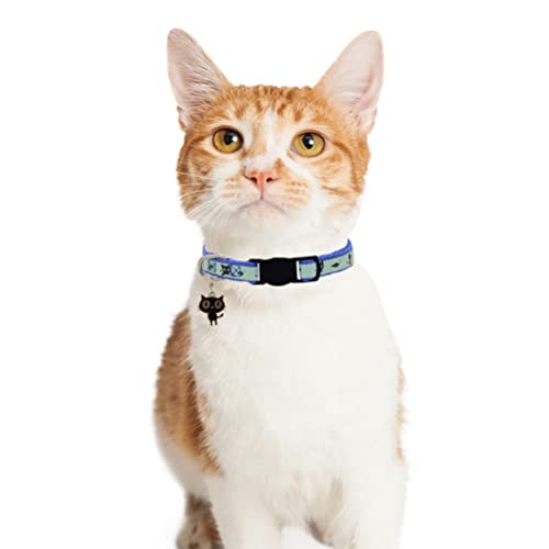 Image of 2 Pack Glow in The Dark Cat Collar with Bell Breakaway Safety Cat Puppy Collars with Pendant Red and Blue