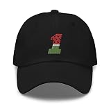 Ross Chastain Watermelon 1 Hat Black