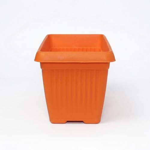 Image of Bello Rectangle 30cm Orange Plastic Planter | Rectangular Flower Pot for Home & Garden (Pack of 1)