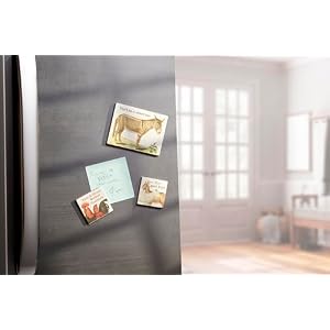 Primitives by Kathy Animal Puns Magnet Set