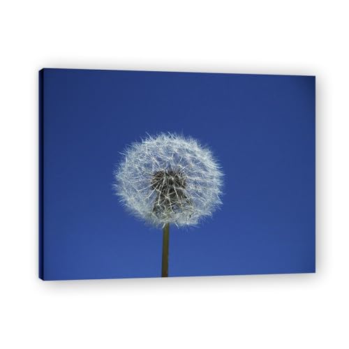 Tableau moderne de pissenlit blanc créez une ambiance nature zen dans votre chambre