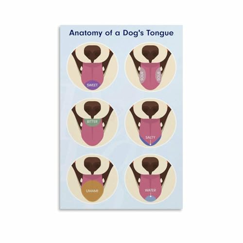 Dog Tongue Color Chart Poster 6, Canvas, 8x12in