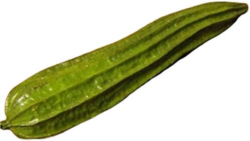 Luffa Angled Gourd - 20 Seeds , Angled Loofah Seeds for Planting, Ridge Gourd Seeds, Loofah Sponge Seeds, Luffa Sponge Chinese Okra Seeds, Muop Khia Luffa Seed, Luffa Seeds for Planting