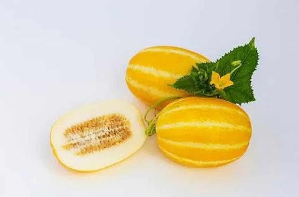 Amazon.co.jp: 韓国マクワウリ チャメ 新鮮な食感 サクサク感