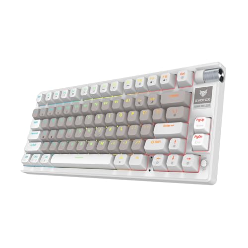 EvoFox Ronin Wireless Mechanical Keyboard (BT+2.4GHz+Wired) | 9 Layer Gasket Structure, Outemu Red Switches, Per-Key RGB, 1000Hz, nKey Rollover, Volume Controller | Windows Software (White)