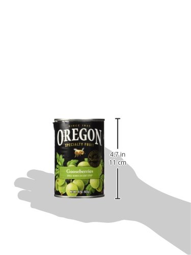 Oregon Fruit Gooseberries in Light Syrup - 15 oz