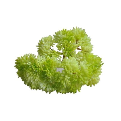 lHA 4 AȃtFCNO[  ItBX EFfBO p[eB[  ჁeiX  fXN I K[fp(Green,6PCS)