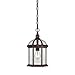Nuvo Lighting 60/4978 Traditional One Light Hanging Lantern from Boxwood collection in Bronze/Dark finish