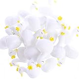 HiUnicorn 24-Pack Princess Swans with Crown Noisy Bath Toys Birthday Party Favors Supplies for Girls