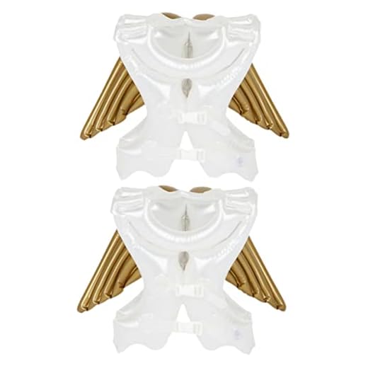 BESPORTBLE 2 Unidades Do Bebê Fonte De Natação Para Bebê Boia De Natação Em Pvc Maiô Bebê Acessórios Proteção Ambiental Pvc Asa