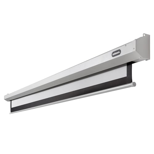 celexon Economy Motor-Leinwand 130 | 300x169 cm 16:9 | elektrische 4K,Full-HD Beamer-Leinwand f&uuml;r B&uuml;ro-Pr&auml;sentationen & Ihr Heimkino | zur Wand- und Deckenmontage | inkl. Fernbedienung
