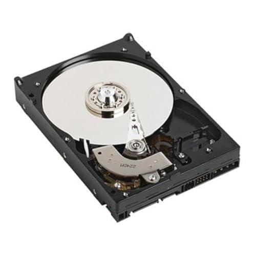 Disque Dell 1TB SAS 7.2K résout le manque d'espace de votre serveur