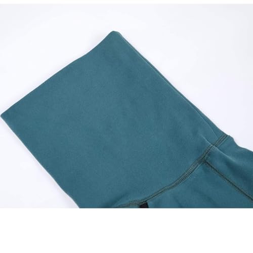 Imily Bela Hundepullover Fleece Rollkragen Hundemantel Warmer Weste Pullover Outdoor Hundejacke Winterkleidung für Kleine Mittel Große Hunde,Seeblau,M