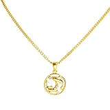 HIJONES Collar Mujer Acero Inoxidable Fino Colgante Concha Redonda Signo Zodiacal Collar Horóscopo Bañado Oro Regalo Suerte Oro Piscis