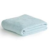 ASiTA (アシタ) バスタオル 1枚 ブルー 今治タオル 約60×120cm 綿100% 高吸水 耐久性 無地 日本製 今治 ブランド BALM TOWEL