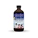 Well Child Echinacea-Elderberry Syrup Planetary Herbals 8 oz Liquid