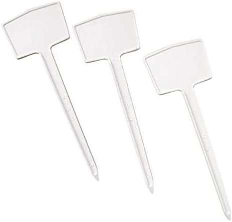 kit 50 Identificador Tag Plaquinha de Planta 15 Centímetros Branc...