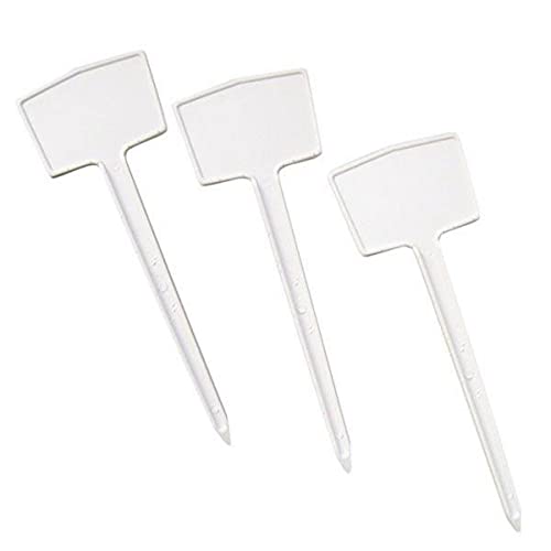 kit 50 Identificador Tag Plaquinha de Planta 15 Centímetros Branc...
