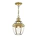 Livex Lighting 2152-02 Monterey 1-Light Outdoor Hanging Lantern, Polished Brass