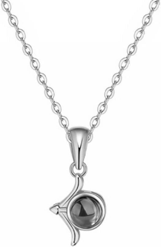Collier en Argent S925 Sagittaire Feng Shui LIRU avec pierre de naissance en zircon