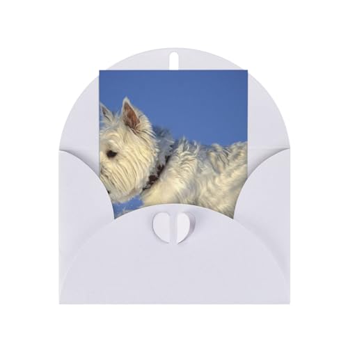 ~̃EGXgnChzCgeǍ bZ[W^[J[h wpj|XgJ[h White