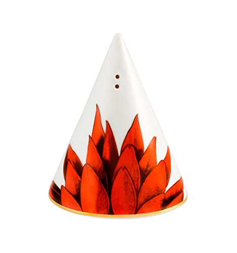 Vista Alegre Amazonia Porcelain Salt And Pepper Shaker Set #TOP1