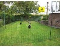 50m x 1.22 - Premium Green Electric Poultry Netting - Close Mesh