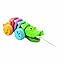 Dancing Alligator Rainbow
