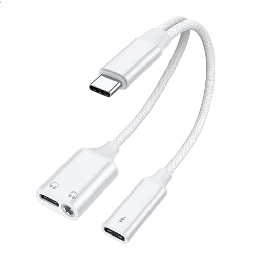 Xinsheinelry Type C wbhtH WbNXvb^[ PD60W p[ HiFi TEh iC ґgP[u [d db ^ubg [dRo[^[