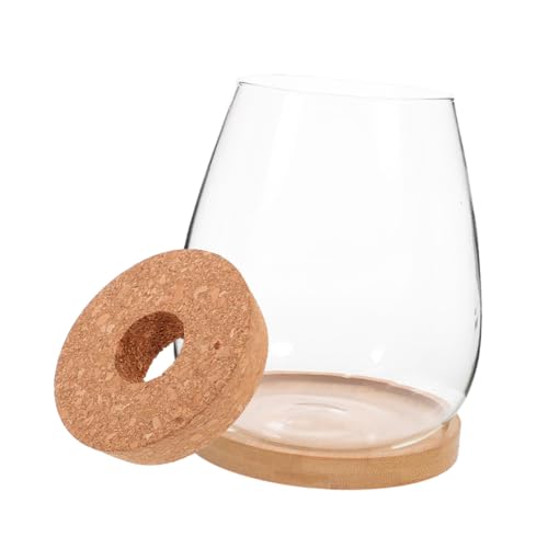 POPETPOP Bouteille Terrarium Verre pour Micro-Paysage Et Plantes Hydroponiques Récipient De Décoration Intérieur Et Extérieur pour Bureau Et Salon