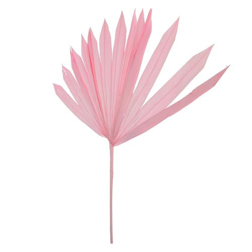 Homoyoyo Foglie di Palma Secche Decorative Rosa per Composizioni Floreali Materiale per Decorazioni Festa Matrimonio e Arredamento Casa Foglia di Palma Essiccata Multiuso per Scenari