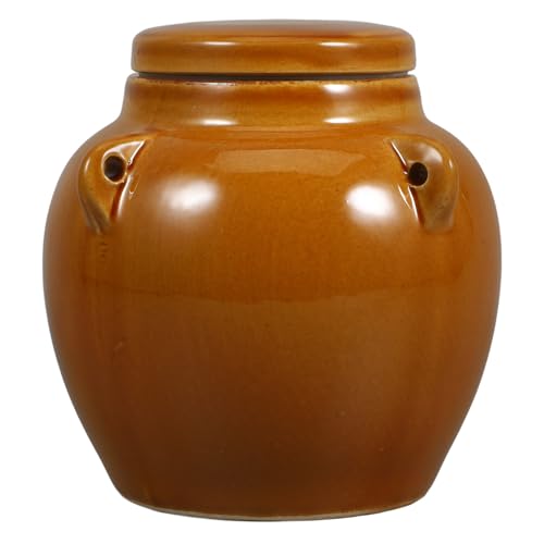 Didiseaon Recipiente de Cerámica Sellado para Alimentos 1 Kg, Tarro Pequeño Vintage para Miel y Encurtidos, Almacenamiento Hermético para Cocina y Granos, Bote de Almacenamiento de Cocina