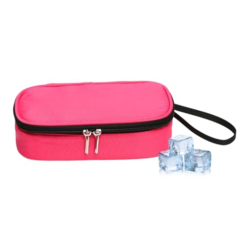 Petit sac isotherme pour vacances et trajets quotidiens en voiture