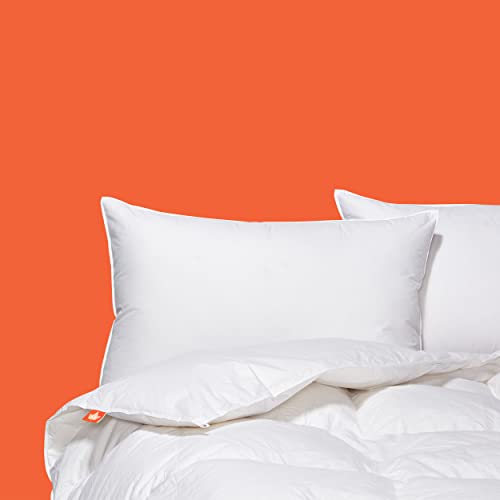 The Best Down Pillows in Canada of 2024 Made in CA