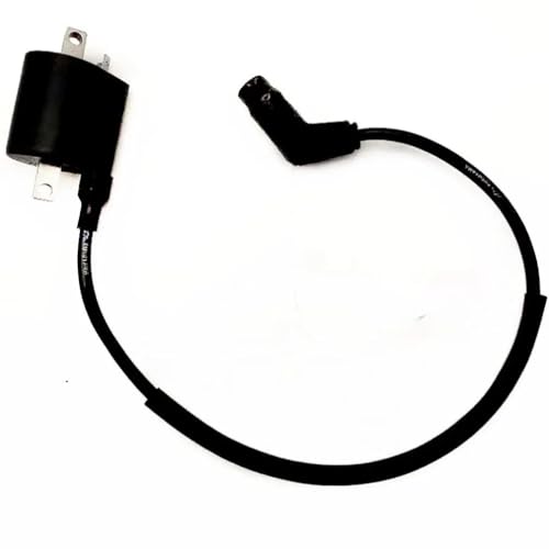 Bobina de encendido y cable para L-NHAI 260 300 400 500 EFI