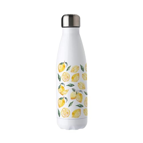 Bouteille d'eau citrons cadeau d'ext&eacute;rieur id&eacute;al en acier inoxydable 500 ml - 3