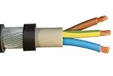 4mm² 3 Core SWA Steel Wire Armoured Cable – Outdoor Power Cable – Heavy Duty for Underground &amp; External Use – BS5467 (30)