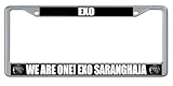 EXO K-Pop Boy Band Group Photo Sparkle Design Fan Merchandise License Plate Frame (2 Pack), Chrome Car Tag Holder
