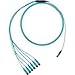 Panduit Fiber Optic Network Cable - 255 ft Fiber Optic Network Cable for Network Device - First End