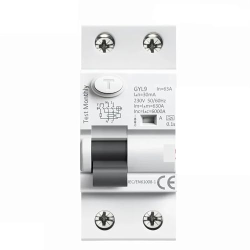 Disjoncteur bipolaire Type A 63A 300mA pour sécuriser la maison connectée