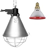 NCC-Licht