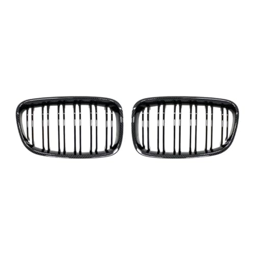 Grilles de rein F20 F21 carbone double barre pour remplacer une calandre cassée