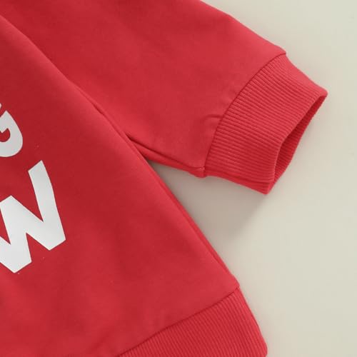 Toddler Kids Baby Girl Christmas Outfits Letter Print Crewneck Sweatshirt Tops Tutu Skirts Set Fall Winter Clothes 5