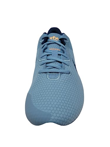 Image of Nike Mens Running Shoes