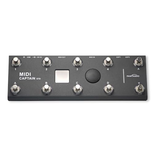【国内正規品】PAINTAUDIO MI