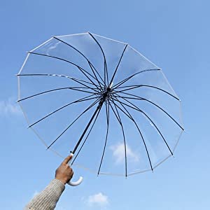 Image of Transparent Umbrella | Durable Wind-Resistant Umbrella | maximum rain coverage umbrella | With A Ling Handle (Pack Of 1).