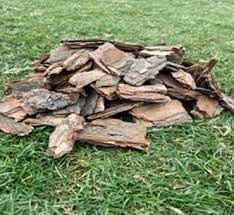 Teak Wood Bark Background for Reptile Terrarium, Cork Wood Bark for Turtle, Bearded Dragon, Snake 900 gram-image-37