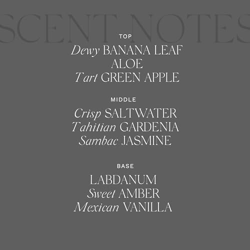 Antica Farmacista Room Spray - Lush Palm, 3.4 Fl Oz (Pack of 1) - Image 5