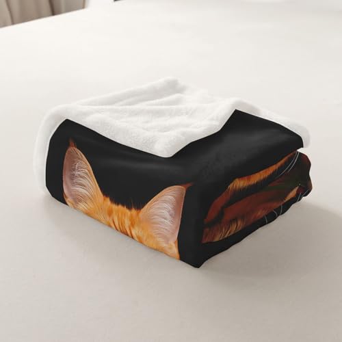 Image of Orange Cat Fleece Blankets for Kids Boys Girls Floral Print Blanket Cute Kitten Pattern Throw Blanket Sherpa Blanket 3D Animal Theme Teens Adults for Couch Bed Sofa Plush Blankets Twin 60 inchx80 inch