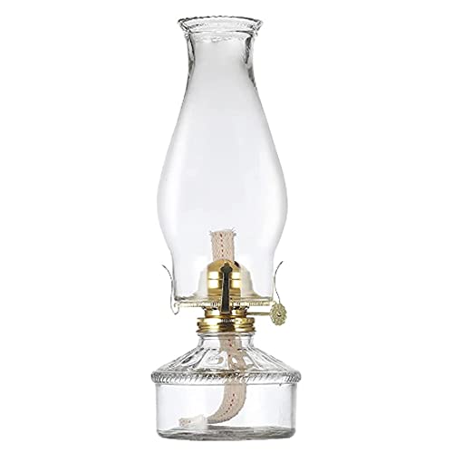 RIIGOOG Oil Lamps for Indoor Use Crystal Glass Kerosene Lamp Nostalgia Oil Lantern with Wick Kerosene Burner Adjustable Light Hurricane Light 12.4